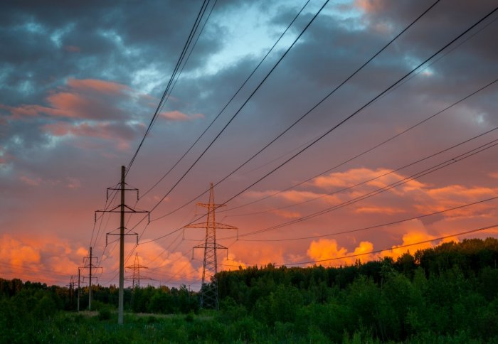 Electricity pylons at dusk