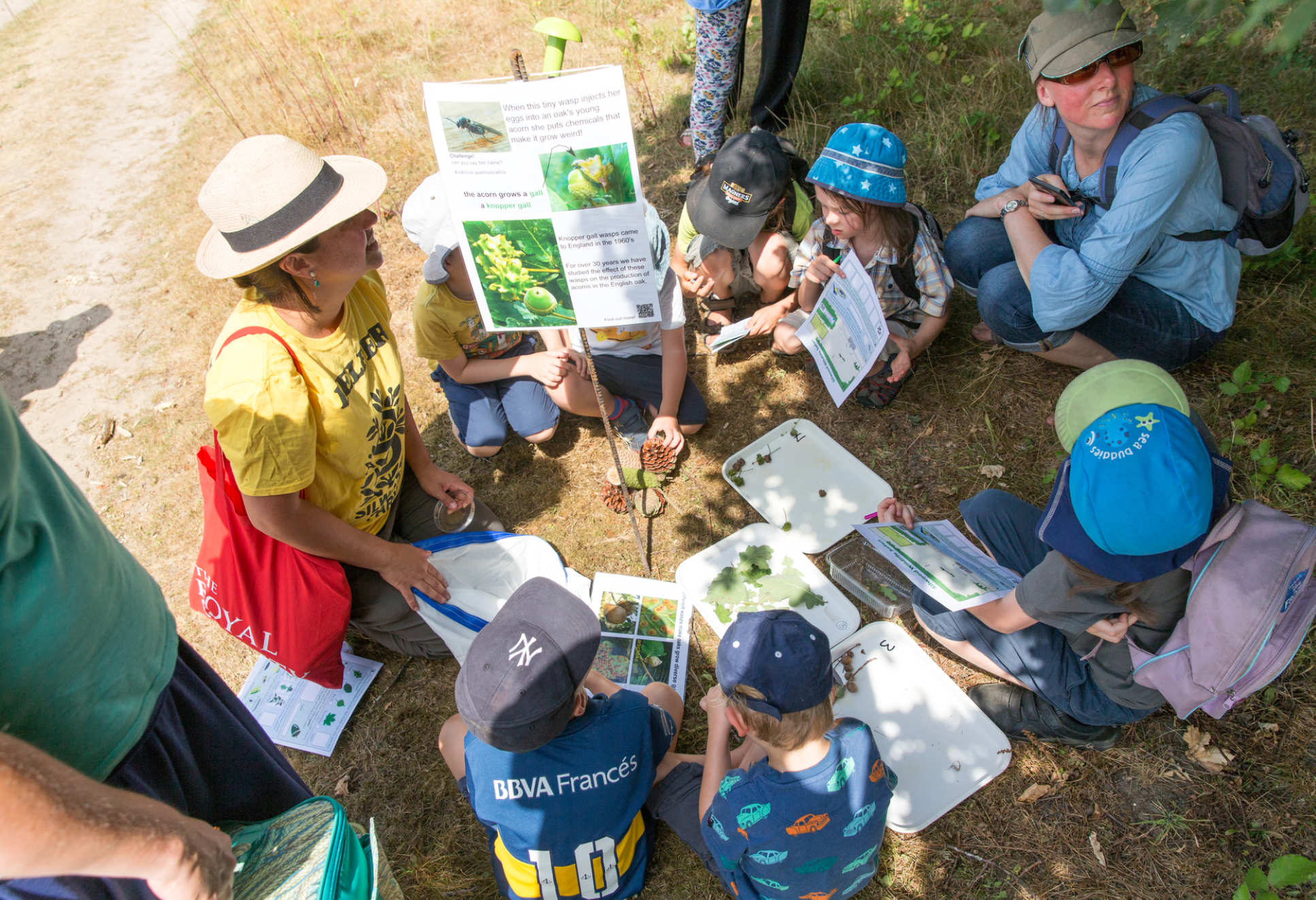 Children gather round a display of forest leaves and pinecones