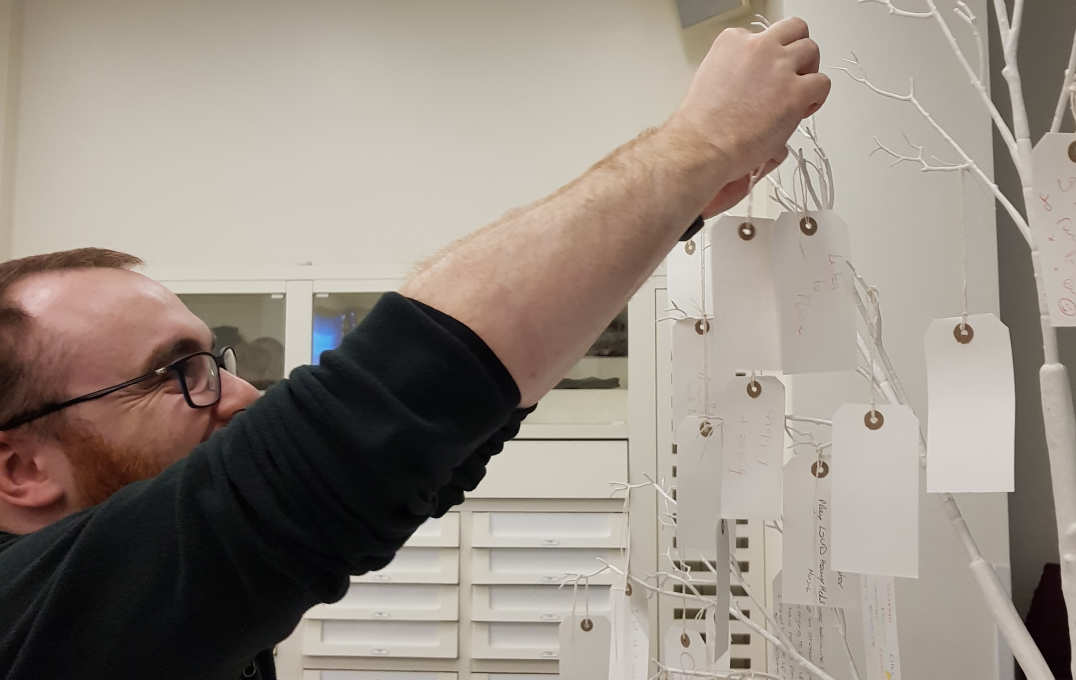 Hanging de-stress activities on the tree