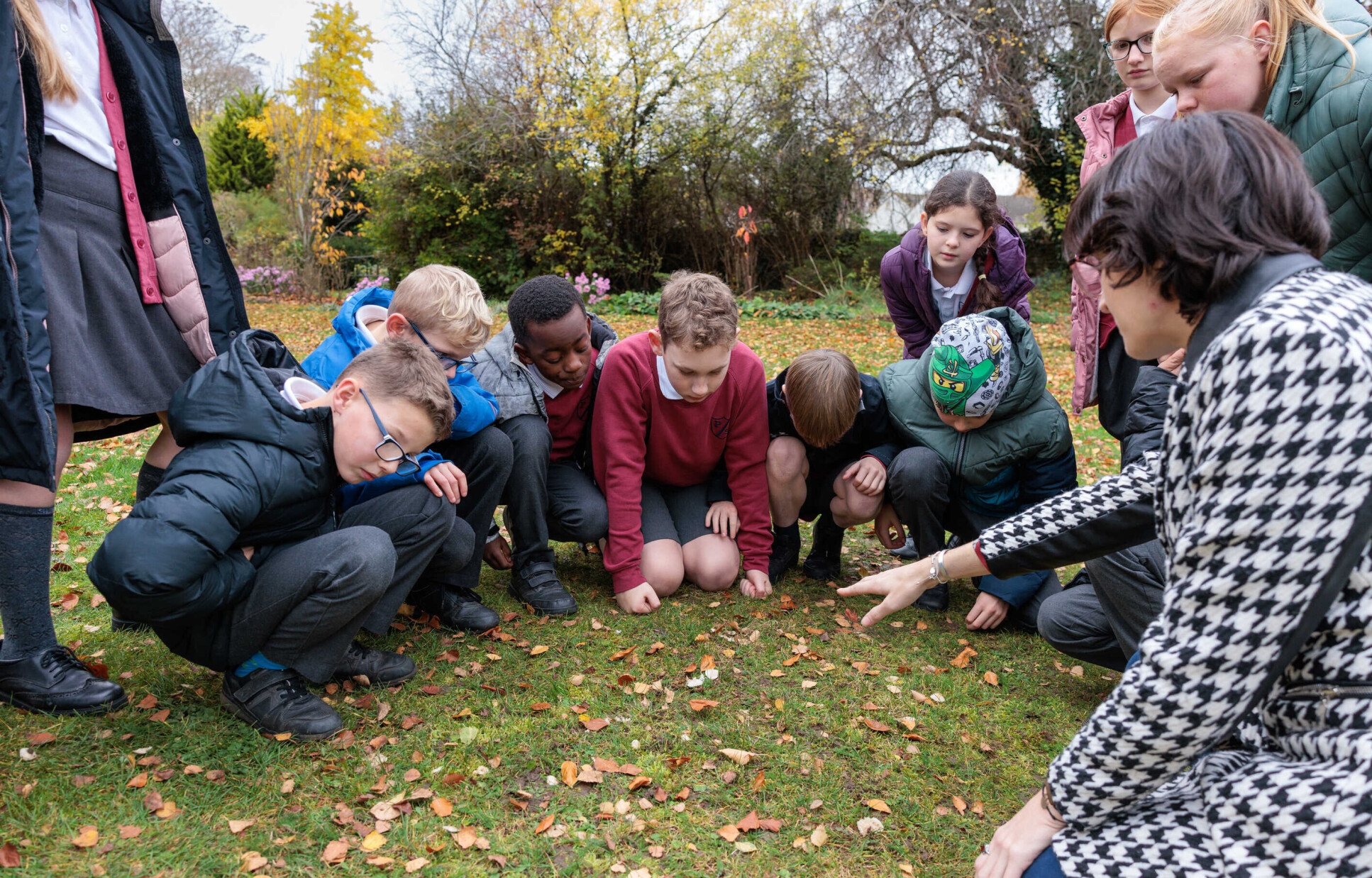 Children in a circle inspecting grass