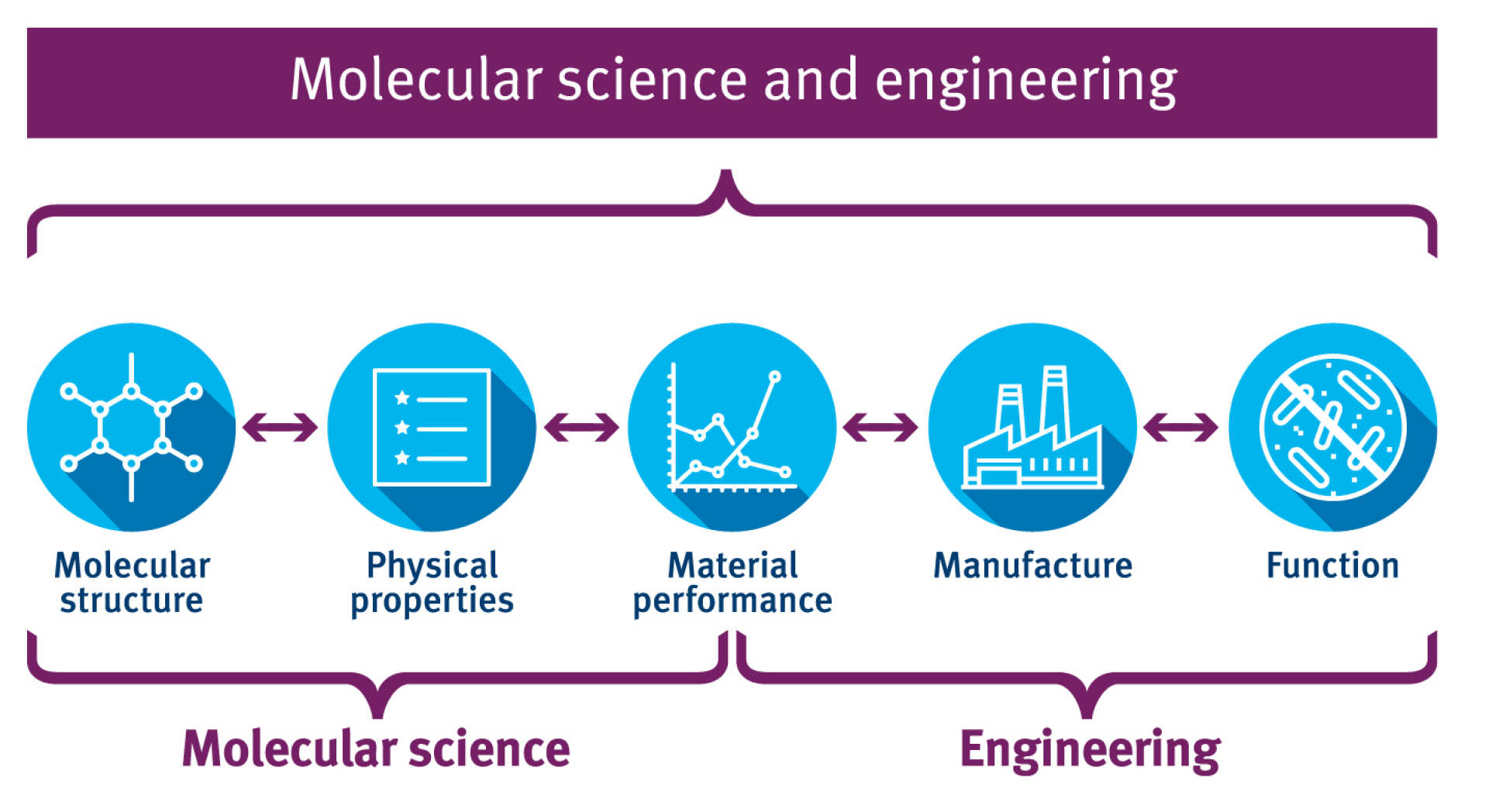 Cartoon of the molecular science and engineering approach