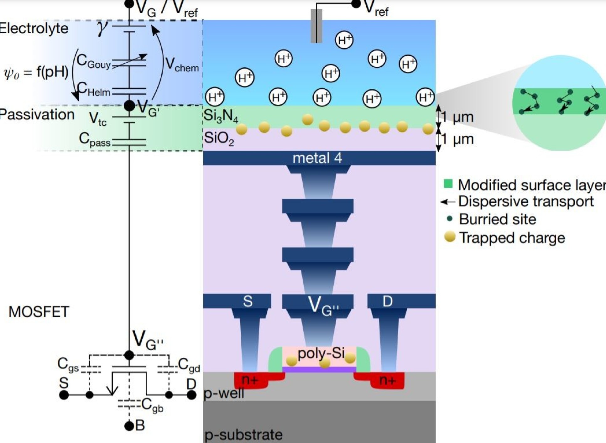 Diagram of the metal in the lab-on--chip coming into contact with the liquid
