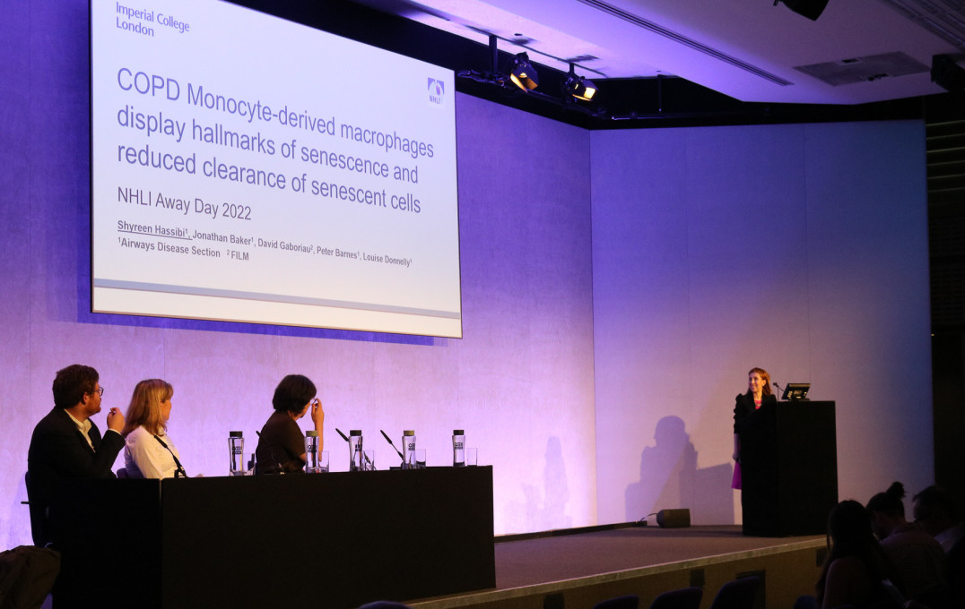 Shyreen Hassibi presenting