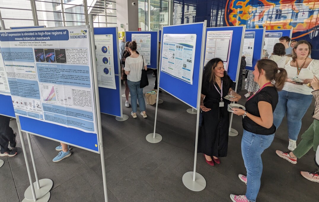 People attending a poster exhibition in Imperial's Main Entrance