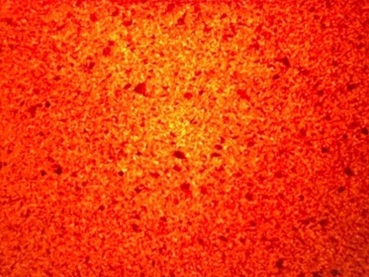 translucent composite material