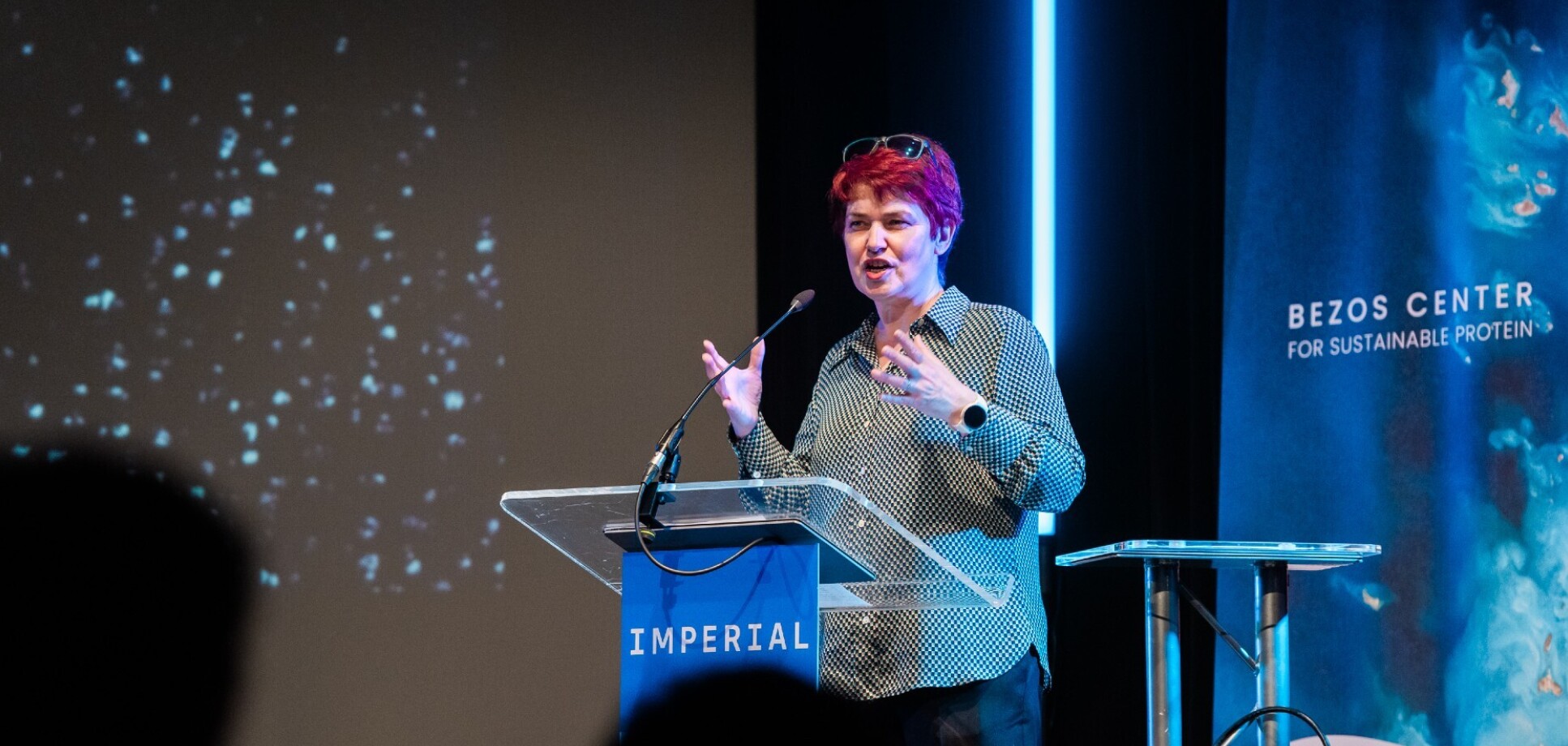 Professor Mary Ryan speaking at the Bezos Centre for Sustainable Protein event.