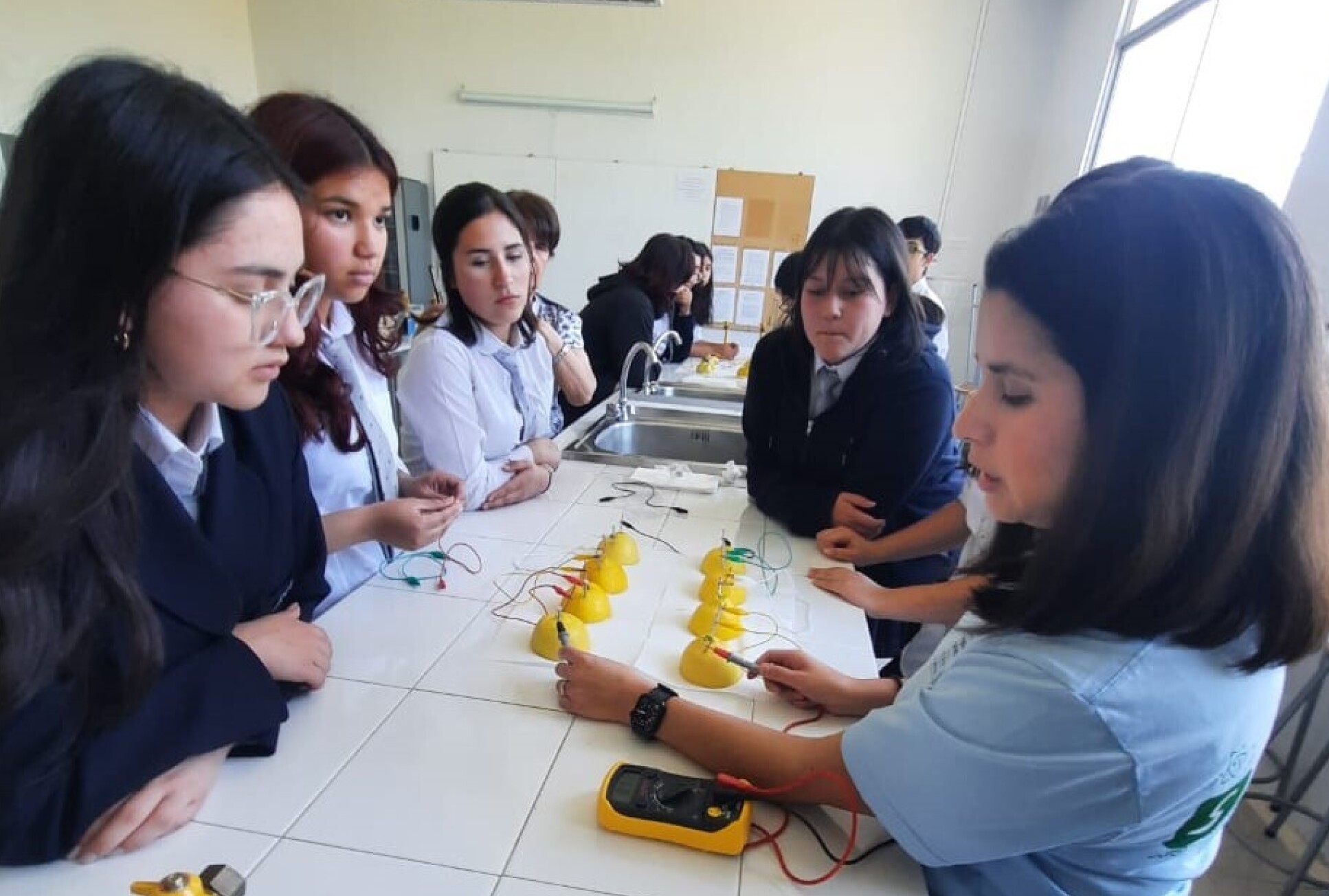 Catalina and the students building lemon batteries