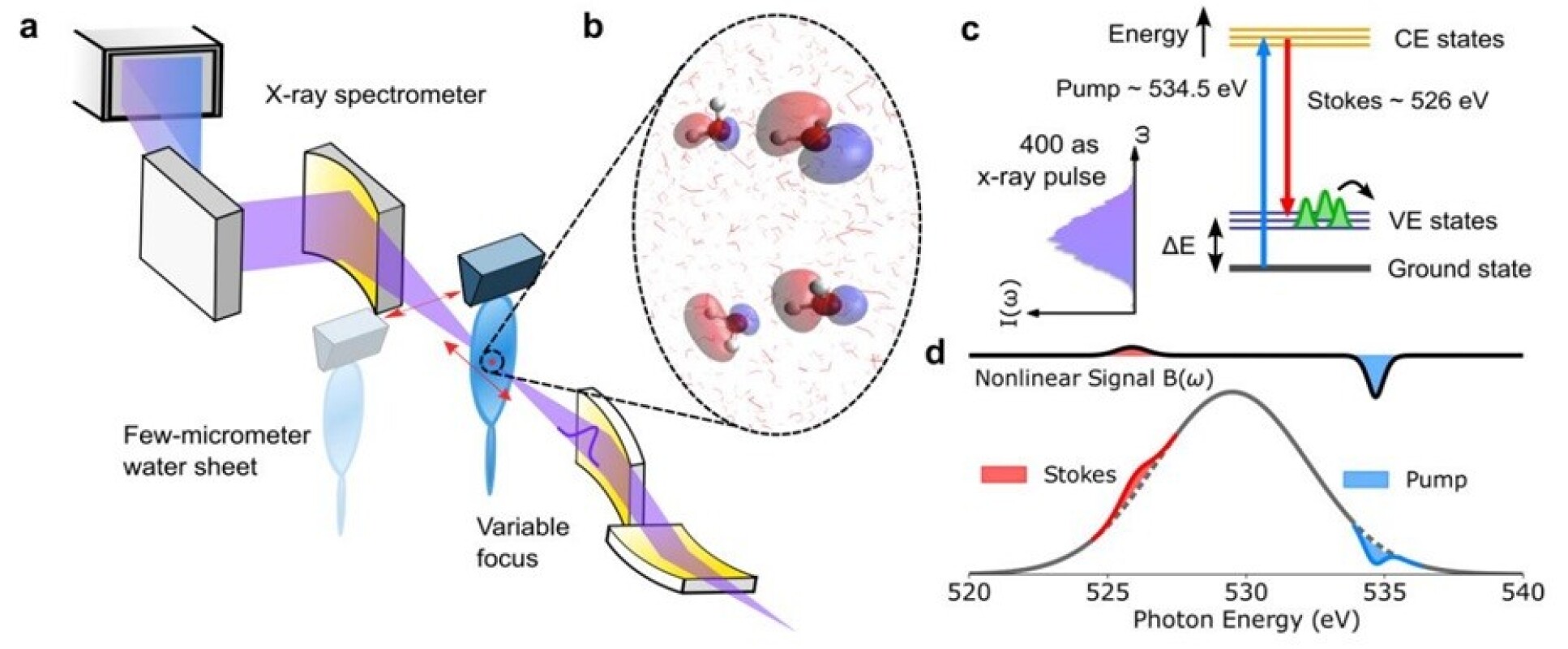 Illustration of oprical setup and graphed responses