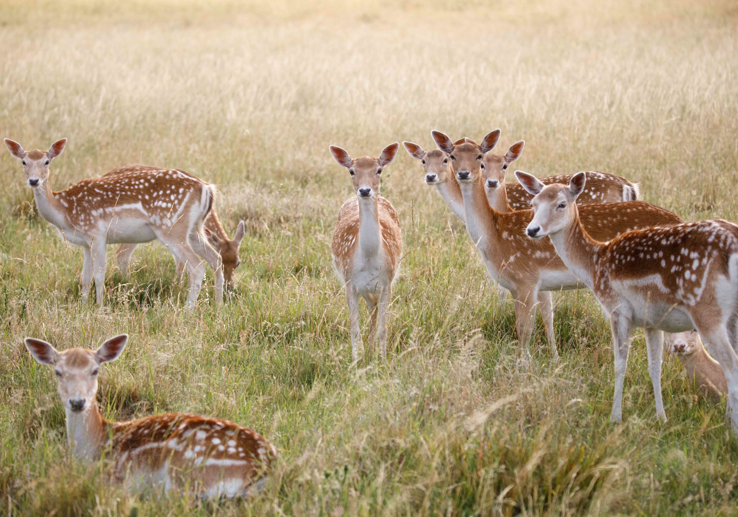 How your life relies on biodiversity