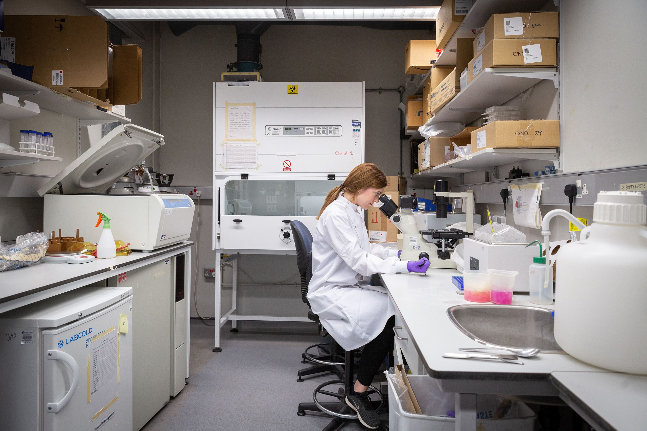 Christine Jordan using a microscope